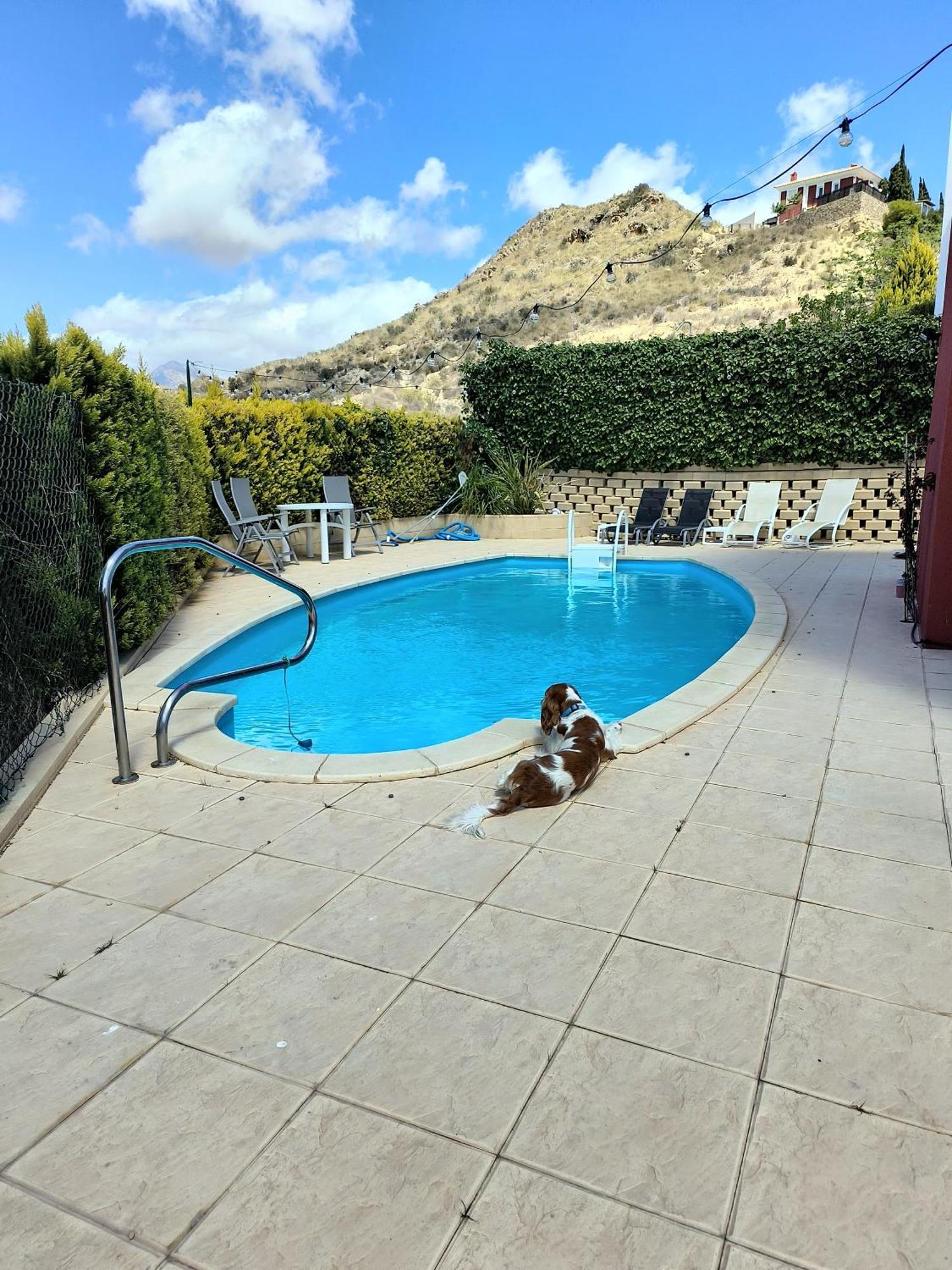 Villa Alicante - Bonalba Golf Mutxamel Exterior foto